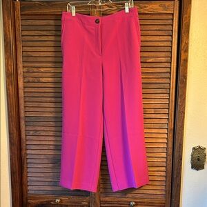 Ann Taylor Vibrant Pink Wide Leg Dress Pants Size 10 NWOT